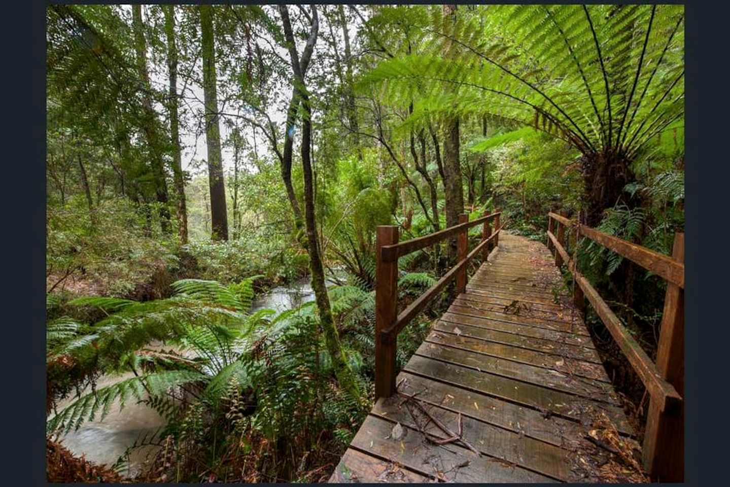 Romantic Rainforest Cottage Rental with Private Waterfalls near Apollo Bay, Victoria