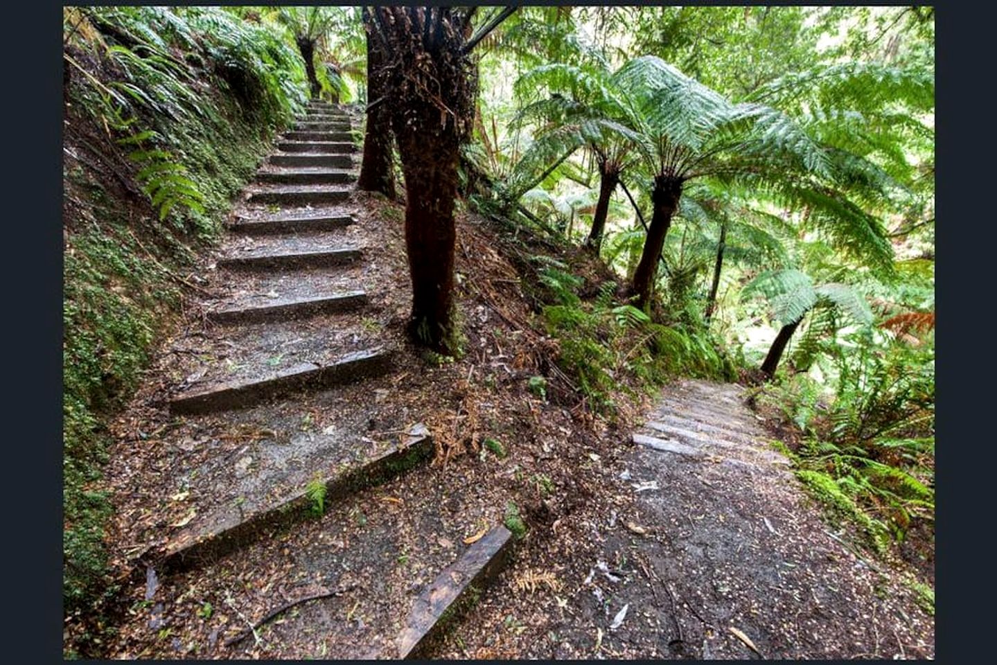 Romantic Rainforest Cottage Rental with Private Waterfalls near Apollo Bay, Victoria