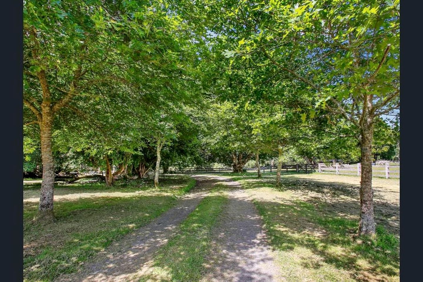 Romantic Rainforest Cottage Rental with Private Waterfalls near Apollo Bay, Victoria