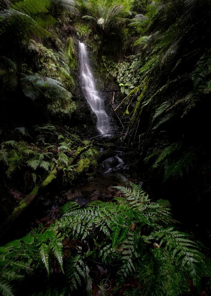 Romantic Rainforest Cottage Rental with Private Waterfalls near Apollo Bay, Victoria