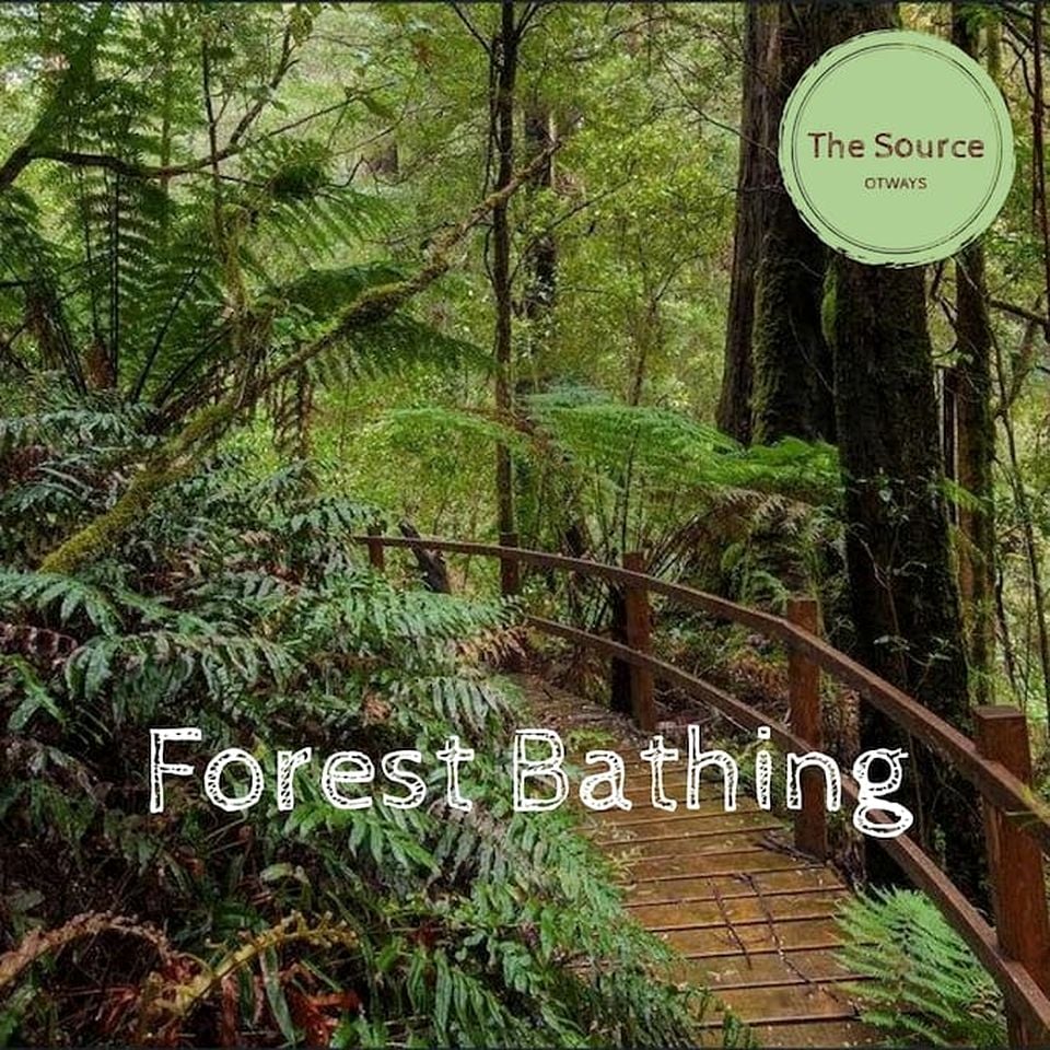 Romantic Rainforest Cottage Rental with Private Waterfalls near Apollo Bay, Victoria