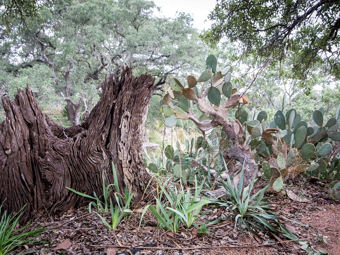 Cabins (United States of America, Georgetown, Texas)