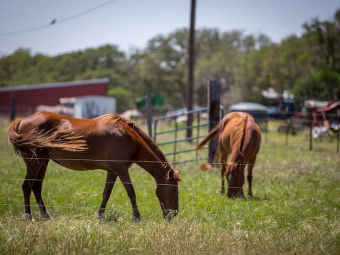 Cabins (United States of America, Georgetown, Texas)