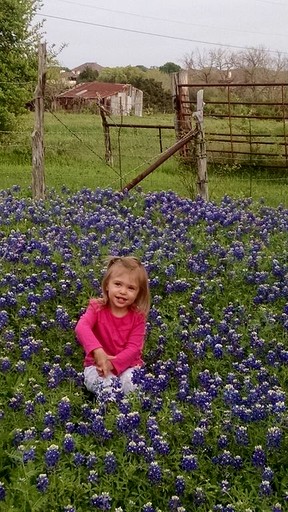 Cabins (United States of America, Georgetown, Texas)