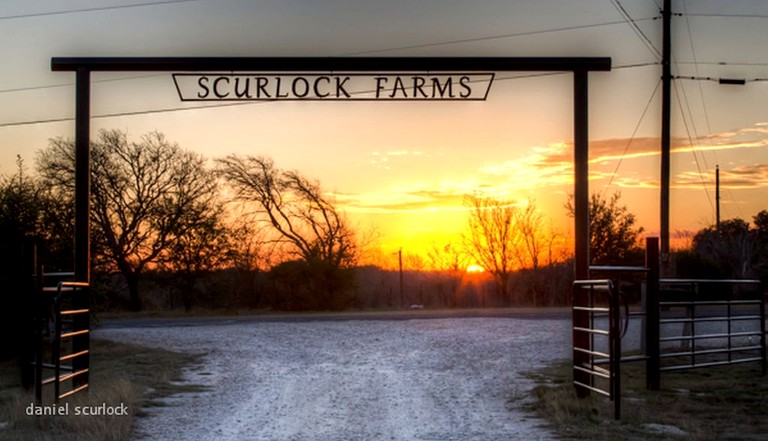 Cabins (United States of America, Georgetown, Texas)