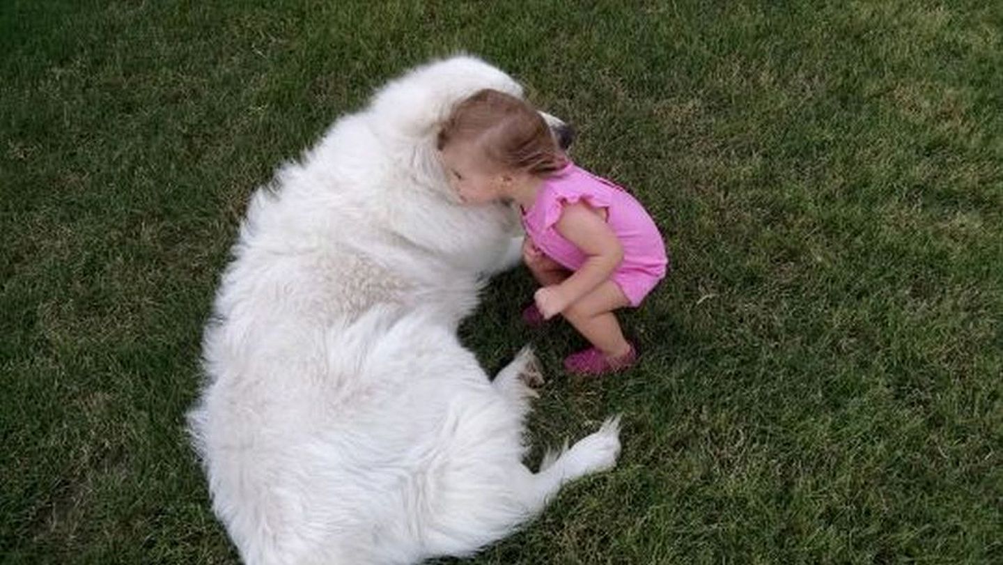 Romantic Luxury Cottage Rental for Two with Fireplace in Texas Hill Country