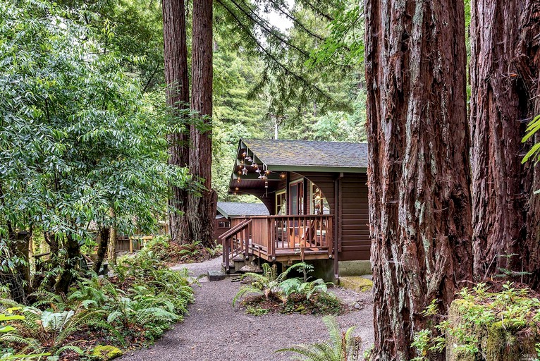 Romantic Creekside Cabin Nestled in a Redwood Forest, Cabins