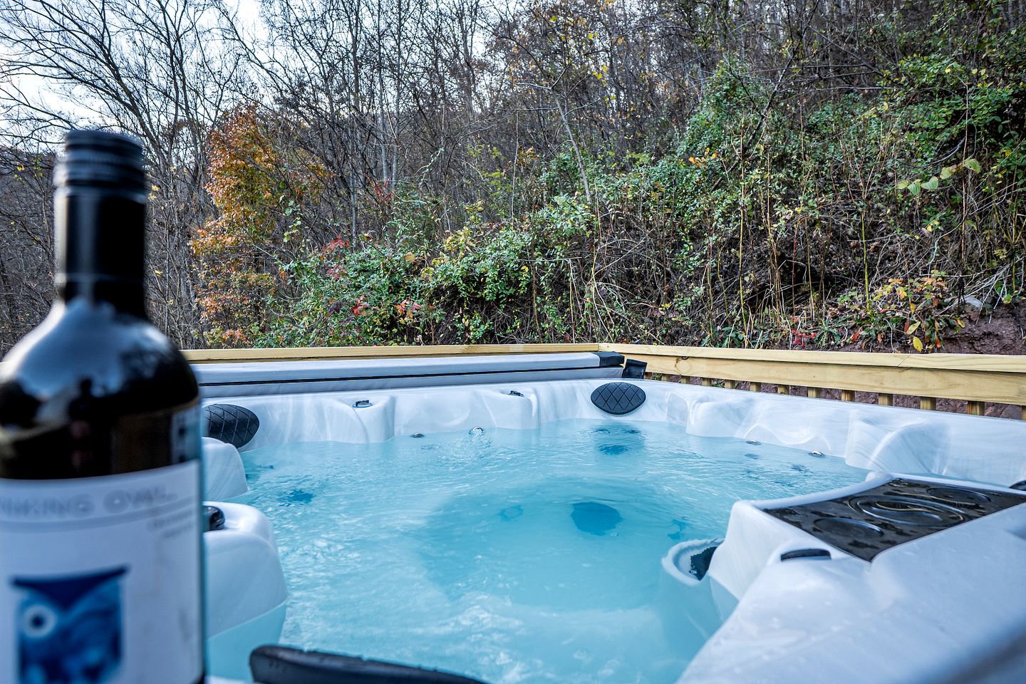 Romantic Geodesic Dome with Hot Tub, Perfect for Stargazing in Pipestem, West Virginia