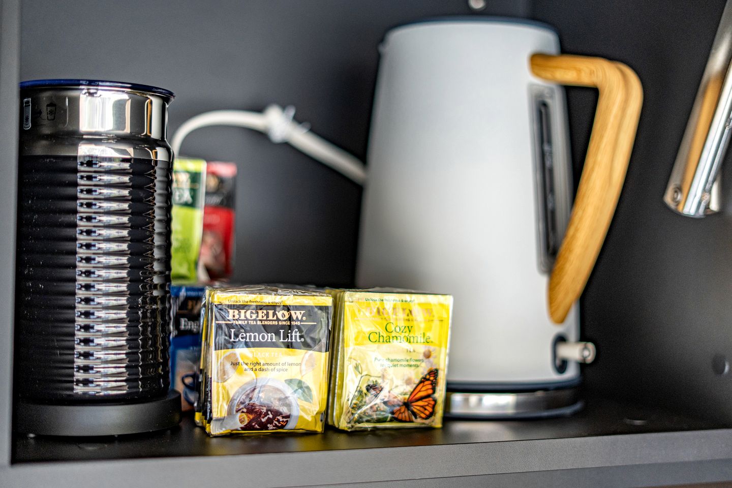 Romantic Geodesic Dome with Hot Tub, Perfect for Stargazing in Pipestem, West Virginia