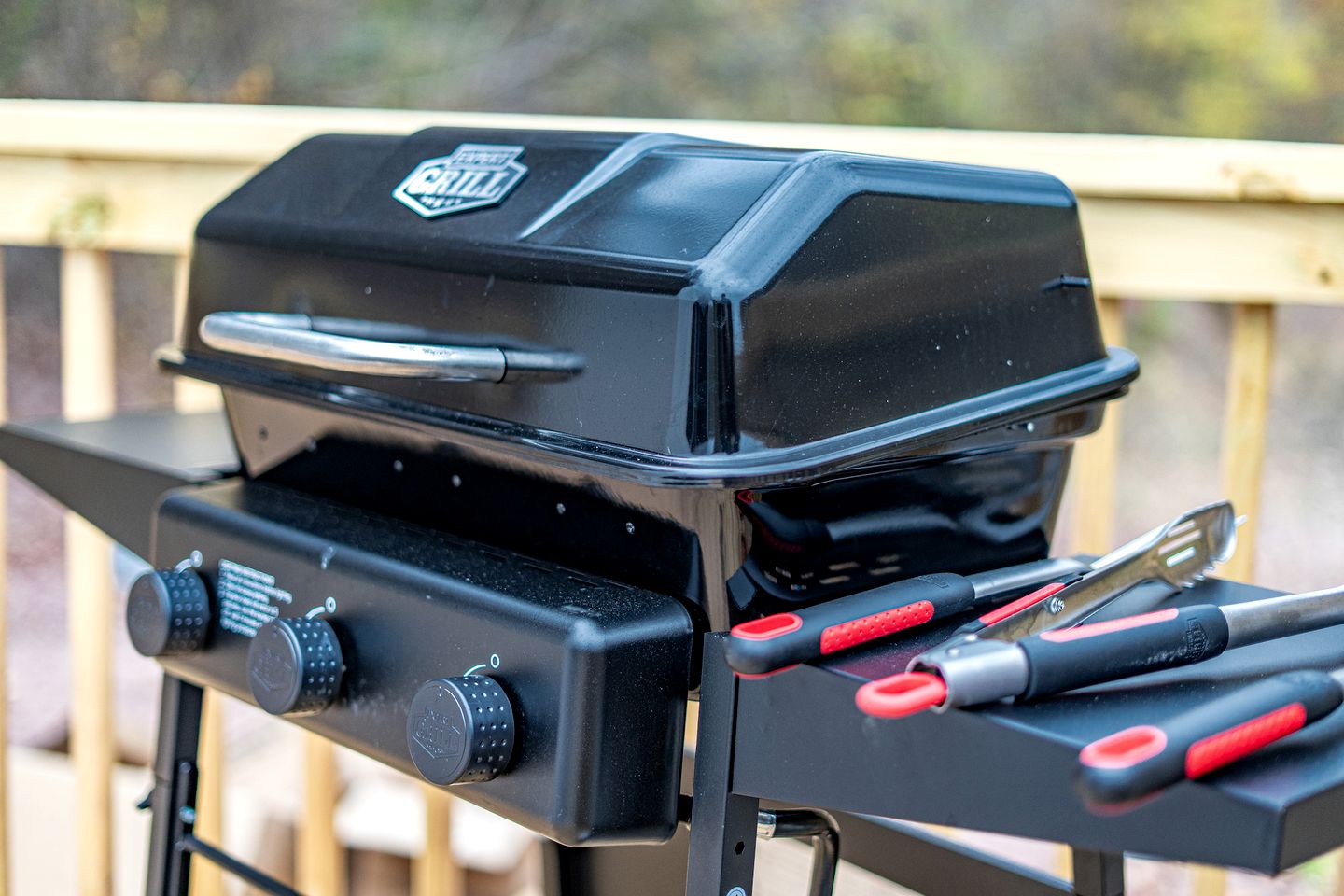Romantic Geodesic Dome with Hot Tub, Perfect for Stargazing in Pipestem, West Virginia