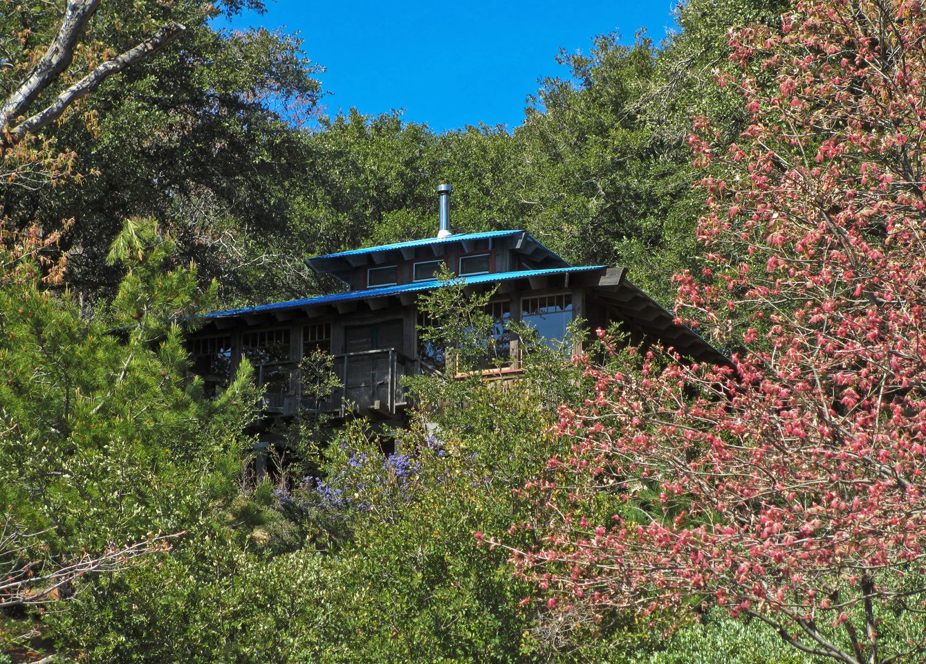 Romantic Getaway in the Trees Overlooking the Mountains of Julian, California