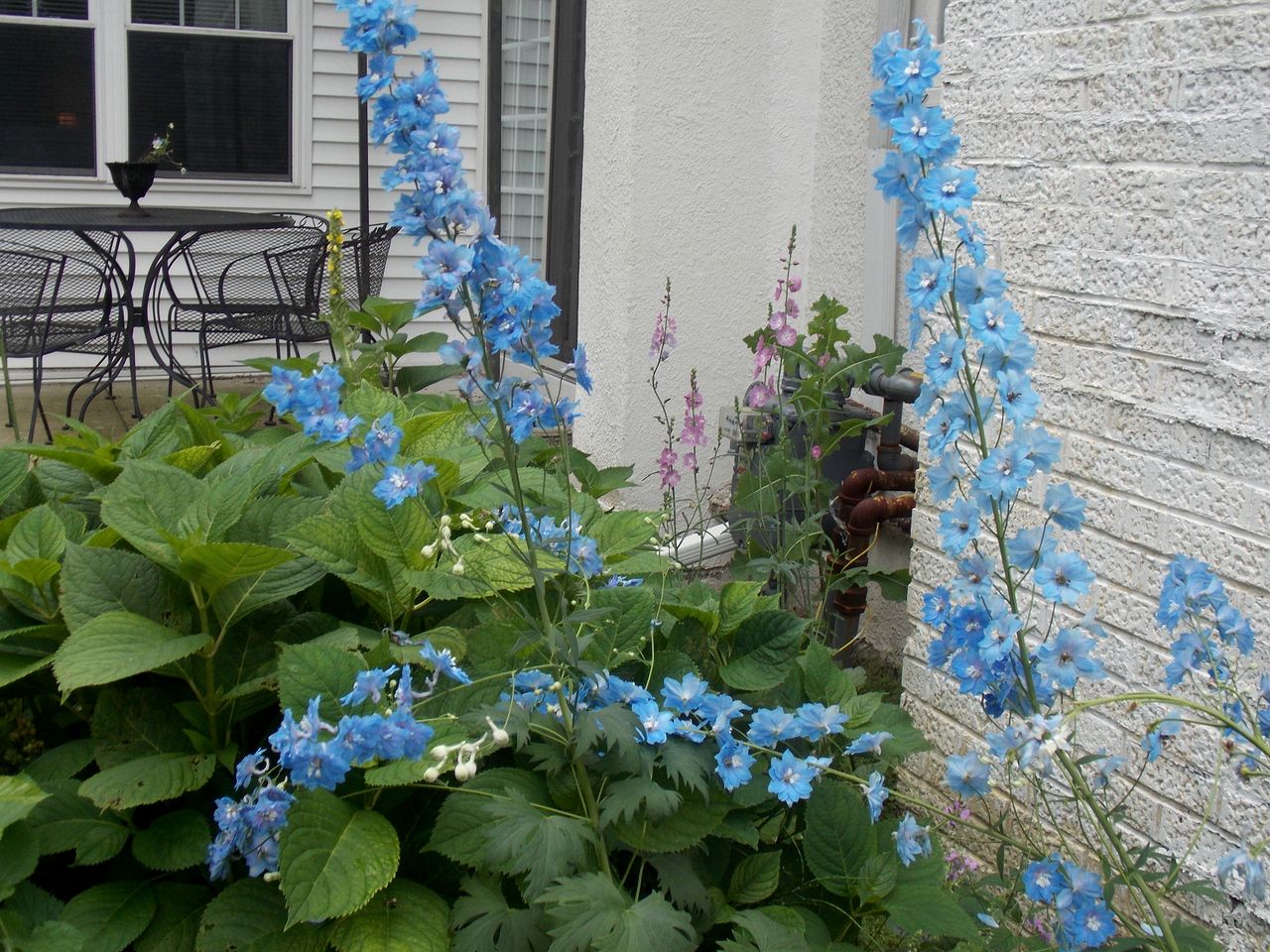 Romantic Bed and Breakfast Getaway near Lauderdale Lakes in Wisconsin