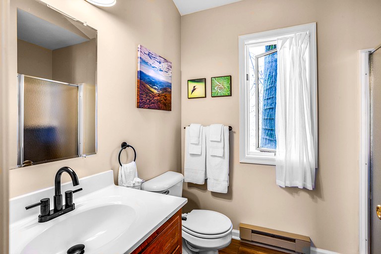 Cabins (United States of America, Love, Virginia)