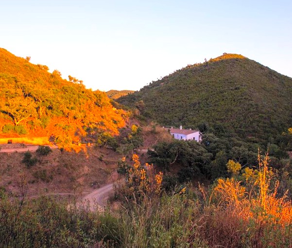 Cottages (Aljezur, Faro District, Portugal)