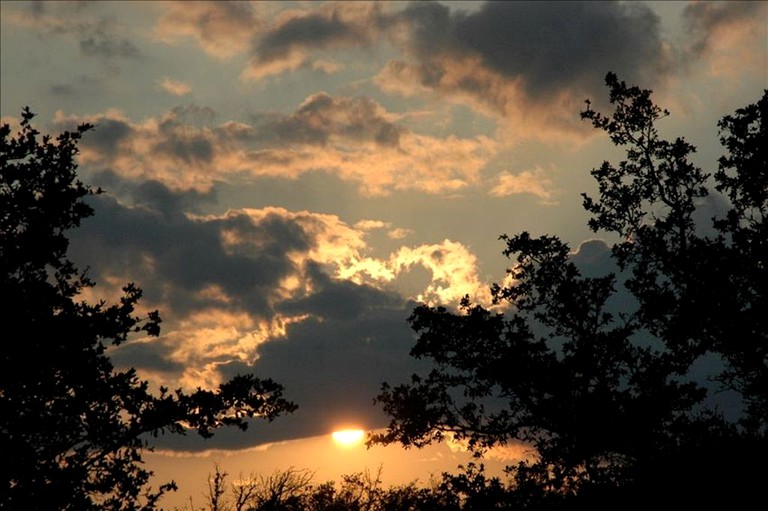 Cabins (Fredericksburg, Texas, United States)
