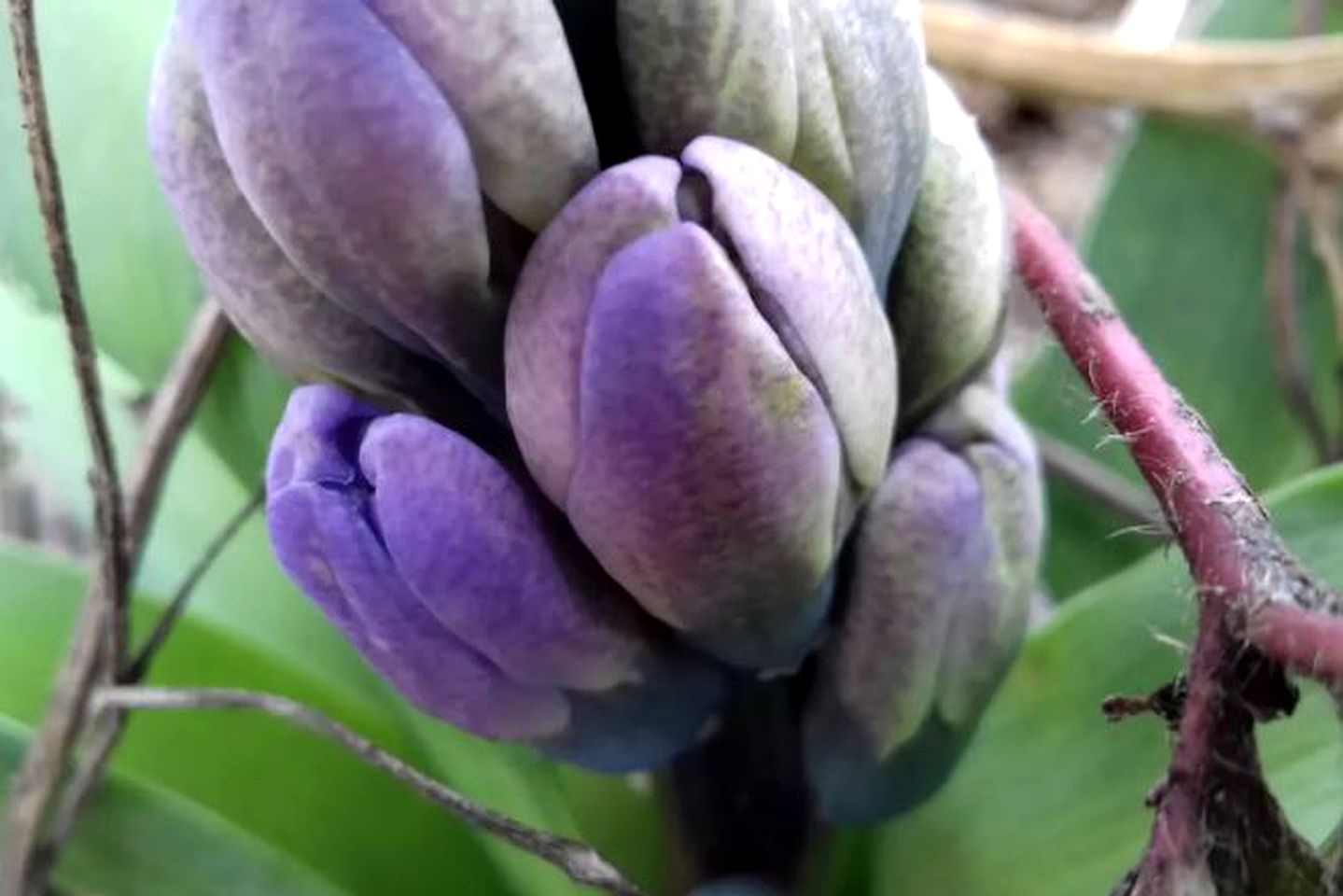 Pet-Friendly Yurt Accommodation with a Shared Pool in Rakovica, Croatia