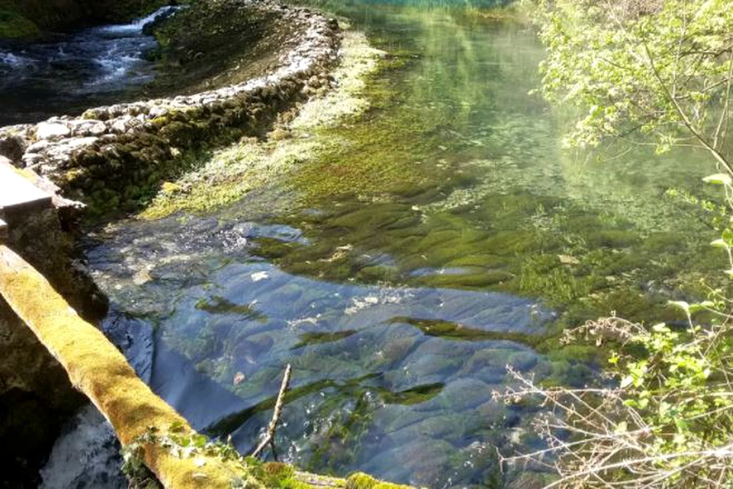 Pet-Friendly Yurt Accommodation with a Shared Pool in Rakovica, Croatia