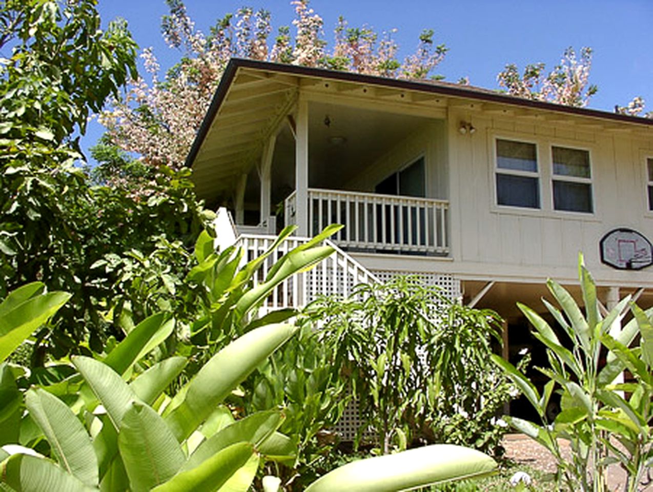 Oceanfront Cottage Rental for Couples Retreat on North Shore of Maui, Hawaii