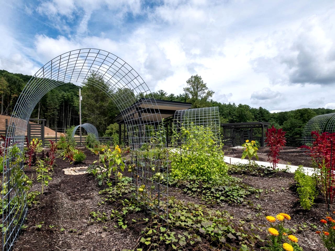 Romantic Retreat: Pet-Friendly Luxury Cabin in Enchanting Transylvania County