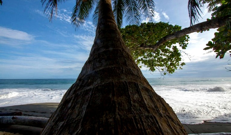 Nature Lodges (Puerto Jiménez, Puntarenas, Costa Rica)