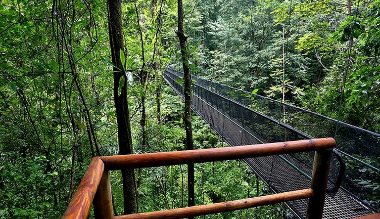 Nature Lodges (Puerto Jiménez, Puntarenas, Costa Rica)