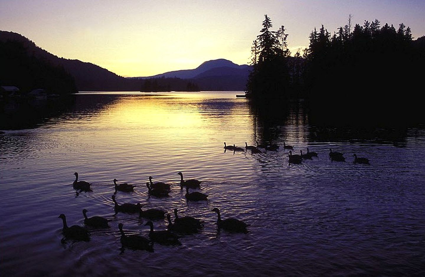 Romantic Safari Tent for Two on the Sunshine Coast, British Columbia