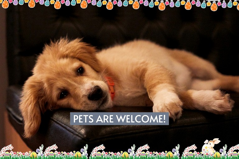 Log Cabins (United States of America, Eureka Springs, Arkansas)