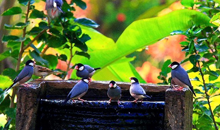 Nature Lodges (Kihei, Maui, Hawaii, United States)