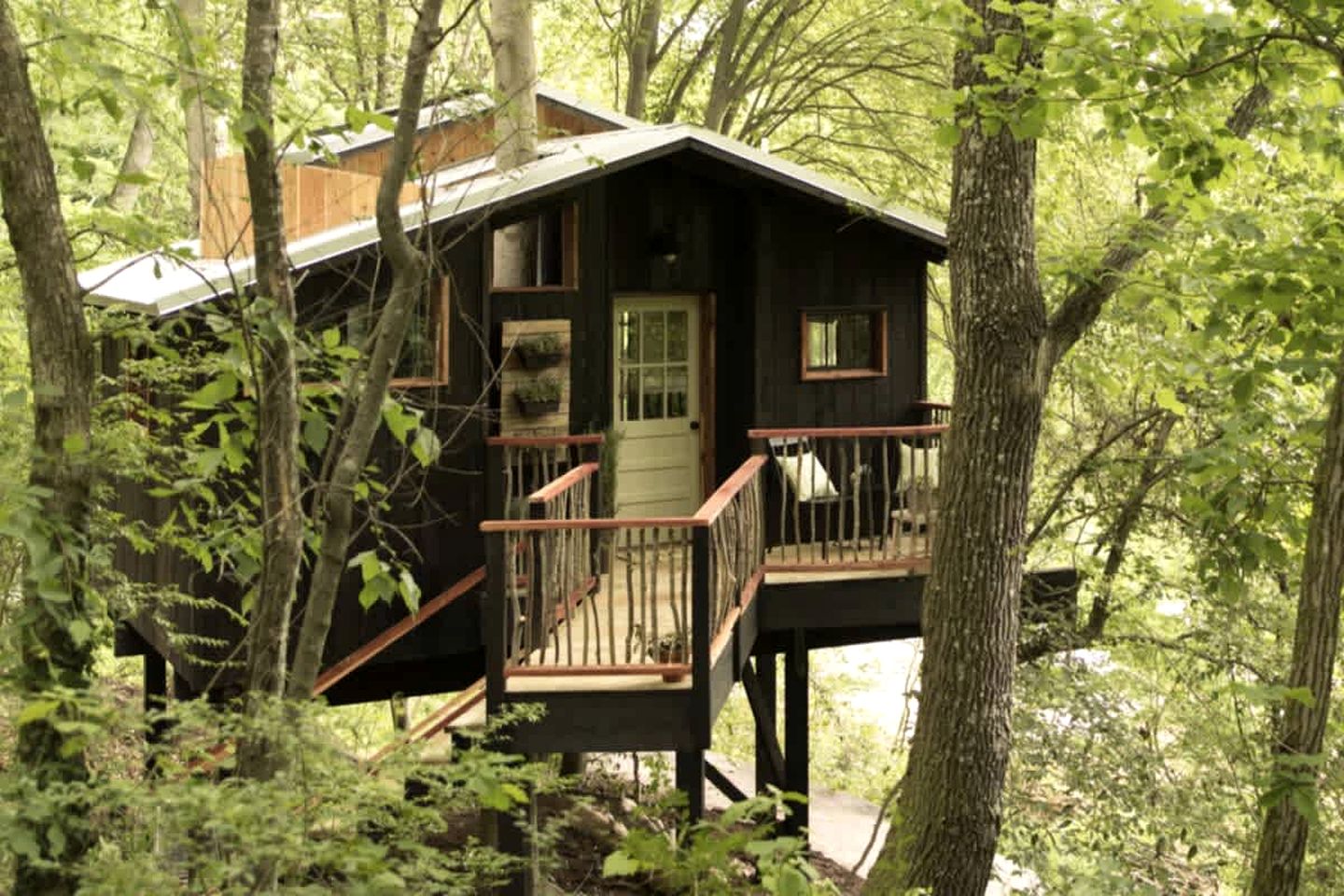 Tree Houses (United States of America, Flintstone, Georgia)