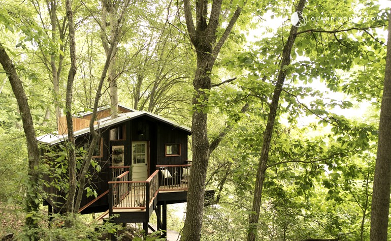 my treehouse How to build a treehouse in the backyard make a world-class backyard tree house that will stand the test of time would my kids take to the treehouse. my treehouse How to build a treehouse in the backyard make a world-class backyard tree house that will stand the test of time would my kids take to the treehouse.
