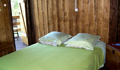 undefined photo 5