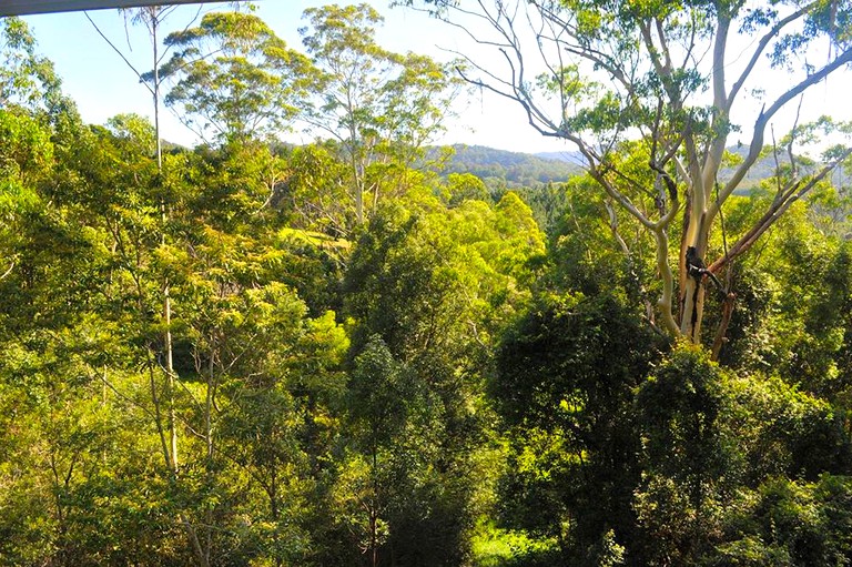 Cabins (Uki, New South Wales, Australia): The best romantic getaways, NSW