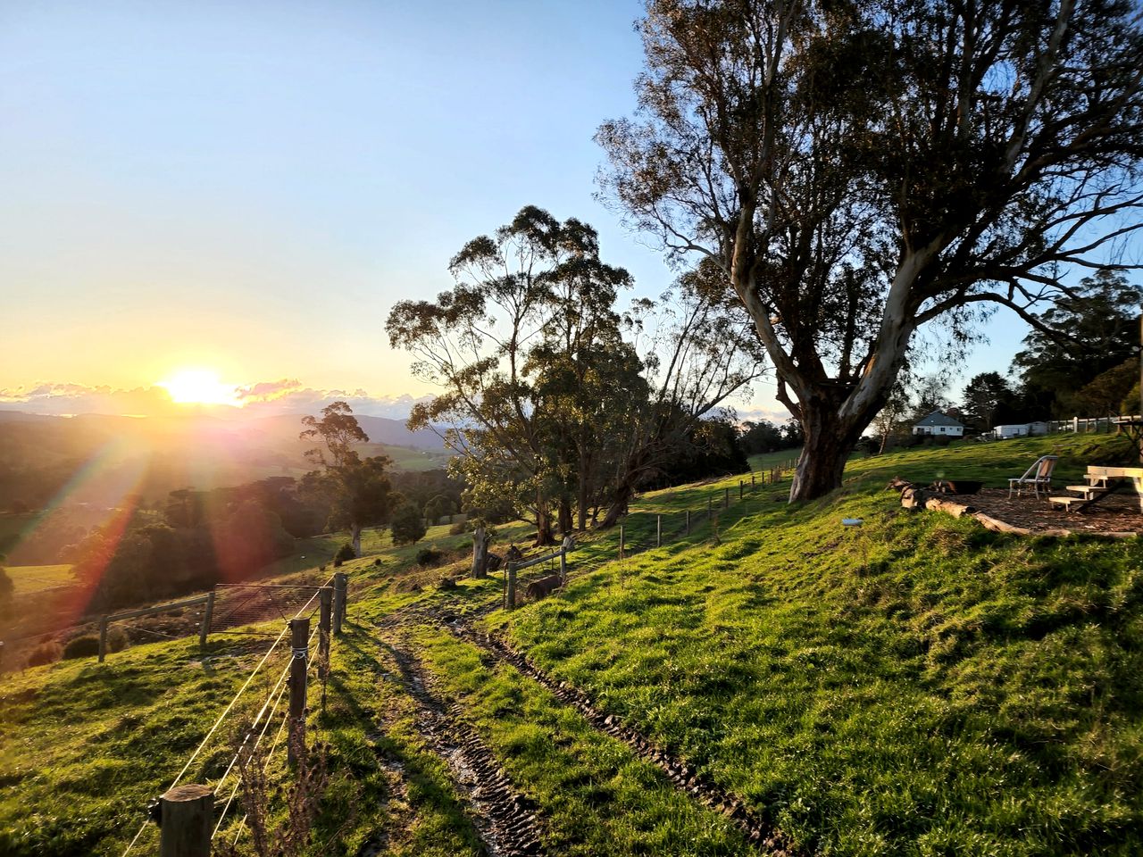 Pet Friendly Rural Glamping in Neerim South, Victoria