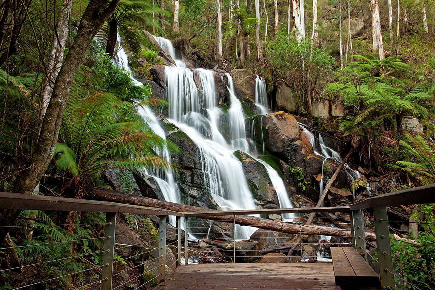 Pet Friendly Rural Glamping in Neerim South, Victoria