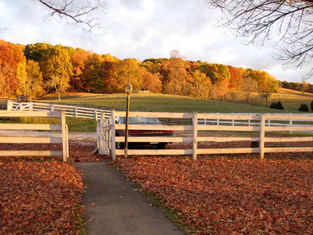 Historic Cottage Getaway on a Working Farm near Lexington, Virginia