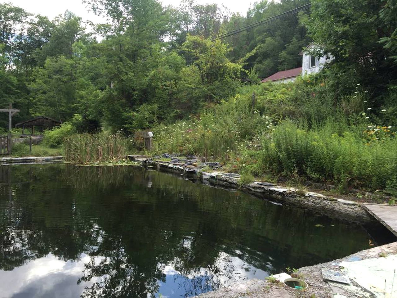 Cozy Getaway Cabin for Two near Esopus River in Shandaken, New York