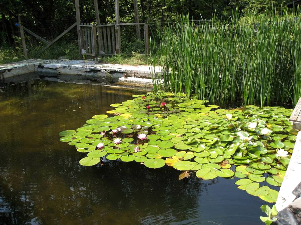 Rustic Couples' Cabin for Idyllic Catskills Getaway, Upstate New York