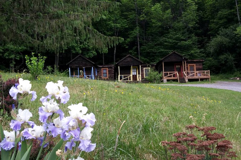 Cabins (Shandaken, New York, United States)