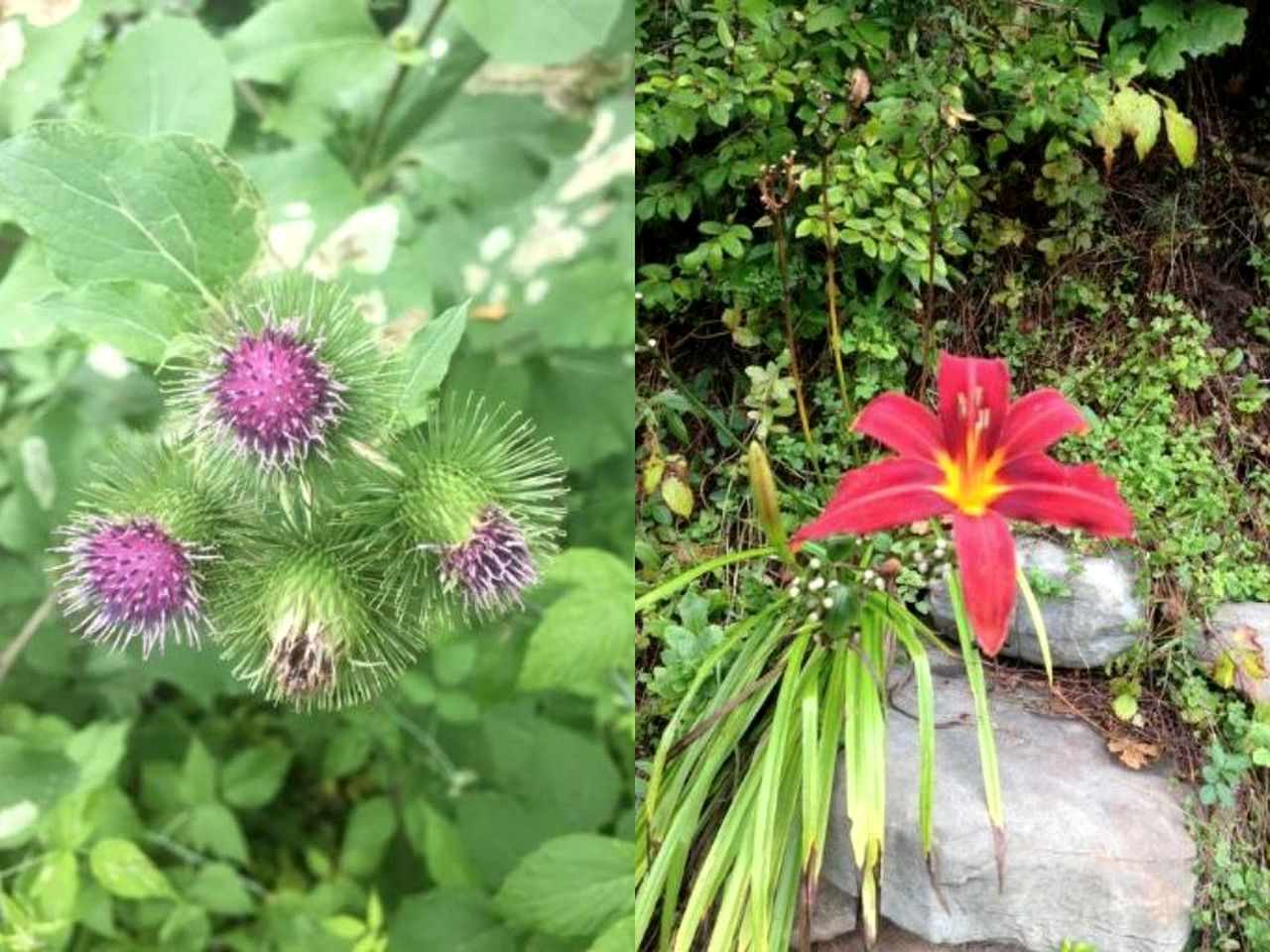 Rustic Couples' Cabin for Idyllic Catskills Getaway, Upstate New York