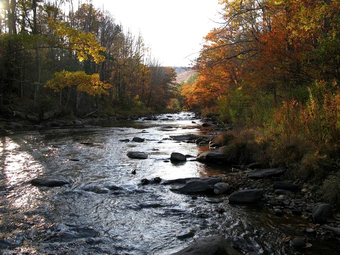 Cabins (Shandaken, New York, United States)