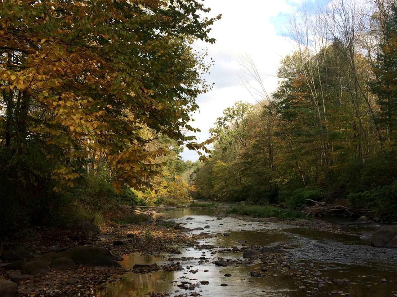 Superb Family Cabin with Mountain Views and Deck in Shandaken, New York