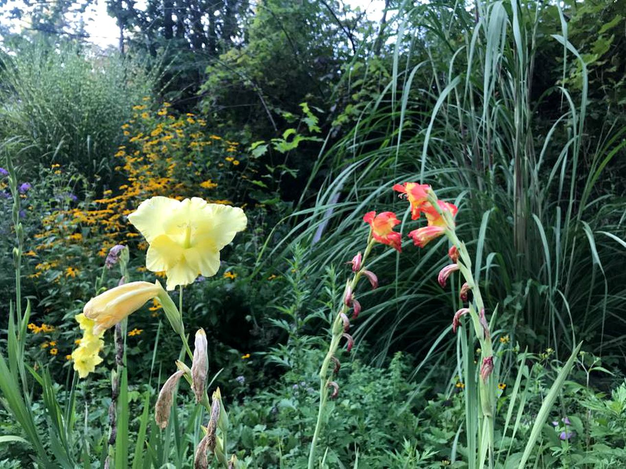 Superb Family Cabin with Mountain Views and Deck in Shandaken, New York