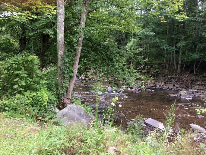 Cabins (Shandaken, New York, United States)