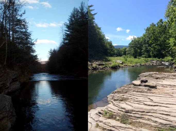 Cabins (Shandaken, New York, United States)