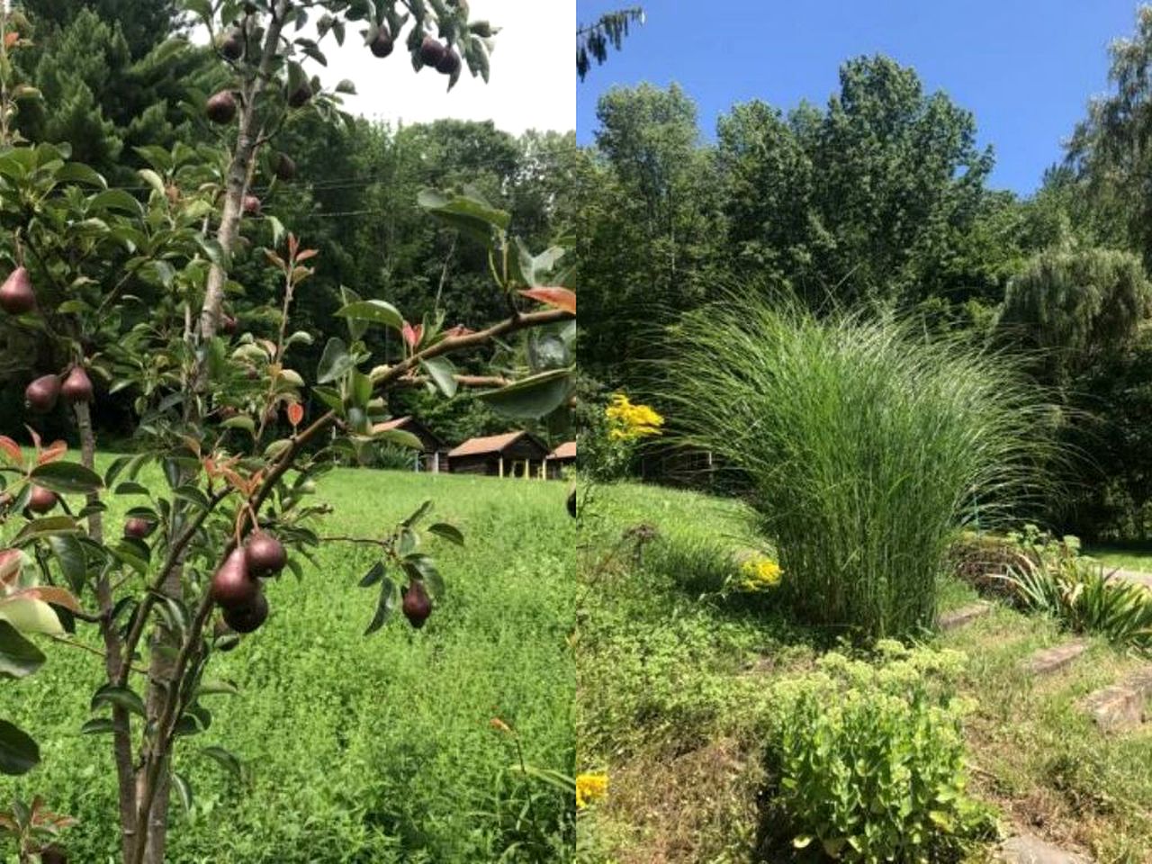 Superb Family Cabin with Mountain Views and Deck in Shandaken, New York