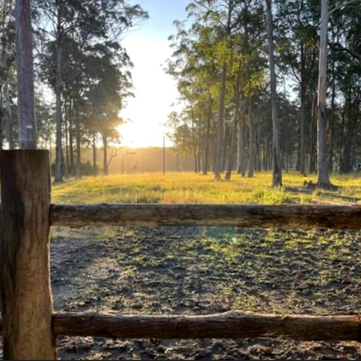 Tiny Houses (Australia, Verges Creek, New South Wales)