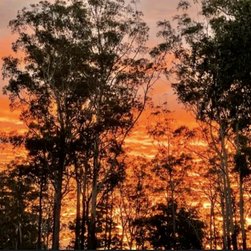 Tranquil Tiny House Cabin with Firepit and Outdoor Living Space in New South Wales, Australia