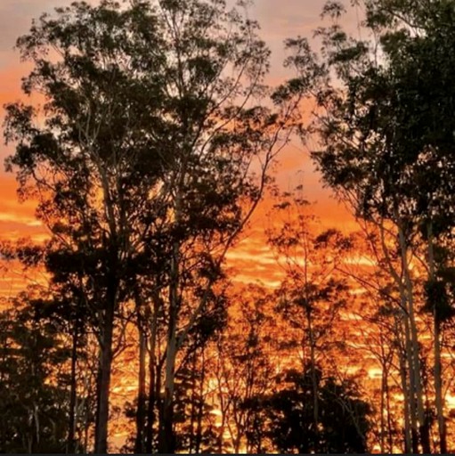 Tiny Houses (Australia, Verges Creek, New South Wales)