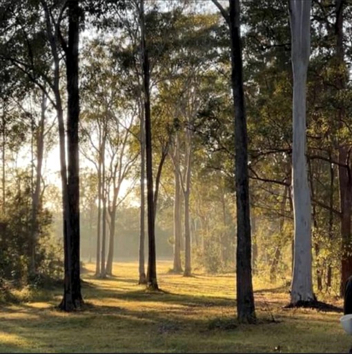 Tiny Houses (Australia, Verges Creek, New South Wales)
