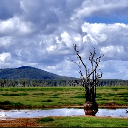 Tiny Houses (Australia, Verges Creek, New South Wales)
